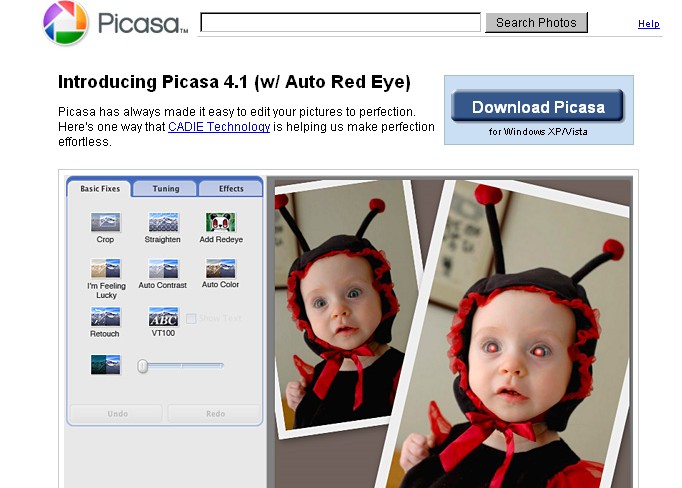 where are my old picasa photos